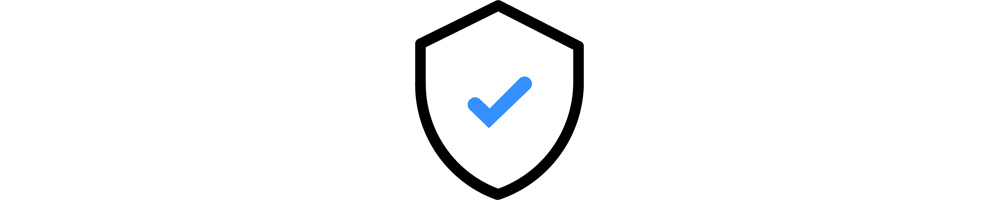 Website Security Express