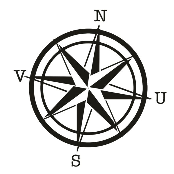 NVUS Website Design Logo