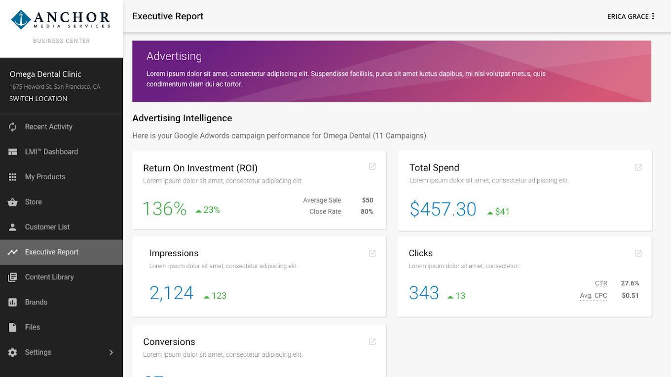 Advertising Intelligence 